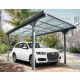 Copertina auto, Pavilion, ForGarden CP-4L, policarbonat, 300 cm x 496 cm, antracit